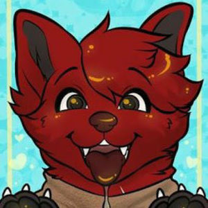 Meet your Posher, Jackie the fox